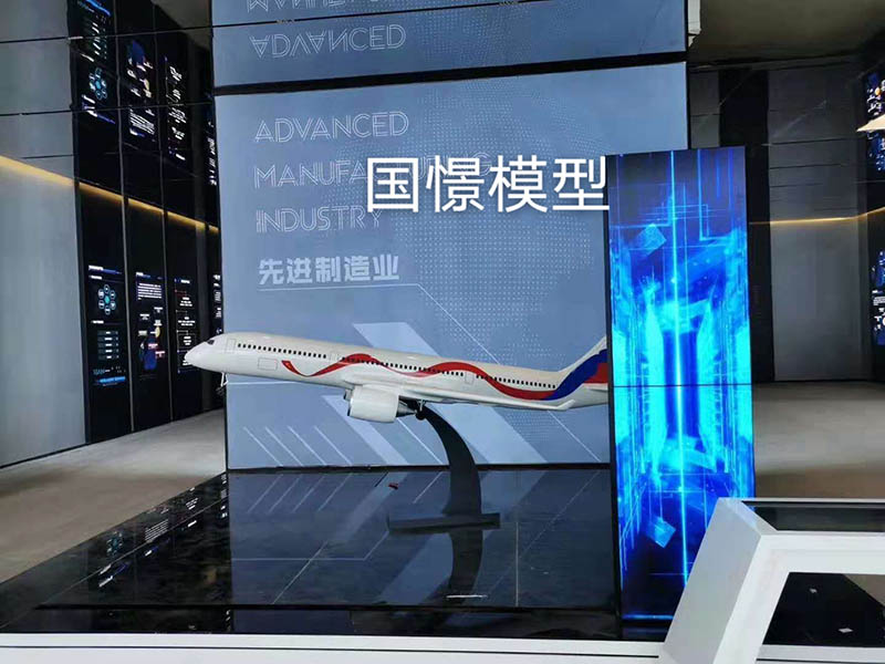 仙游县飞机模型